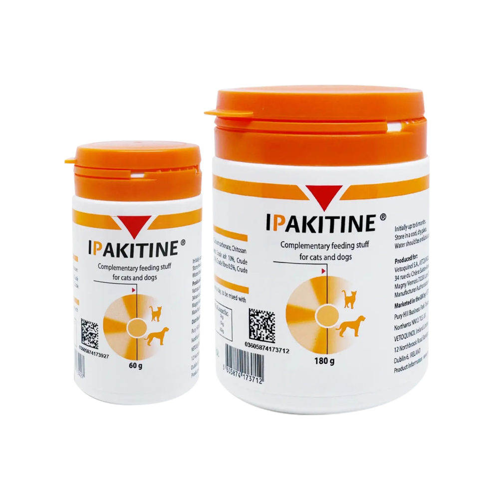 WhatsApp_Image_2026-02-16_at_02.03.14