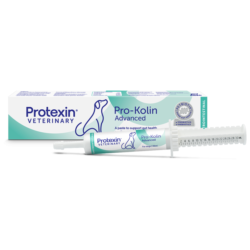 Pro-Kolin_Advanced_for_Dogs_30ml