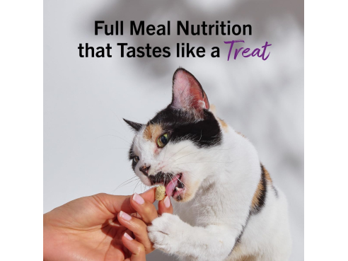 S&amp;C_cat_freeze_dried_plate_lickin_pork_3.5oz_2