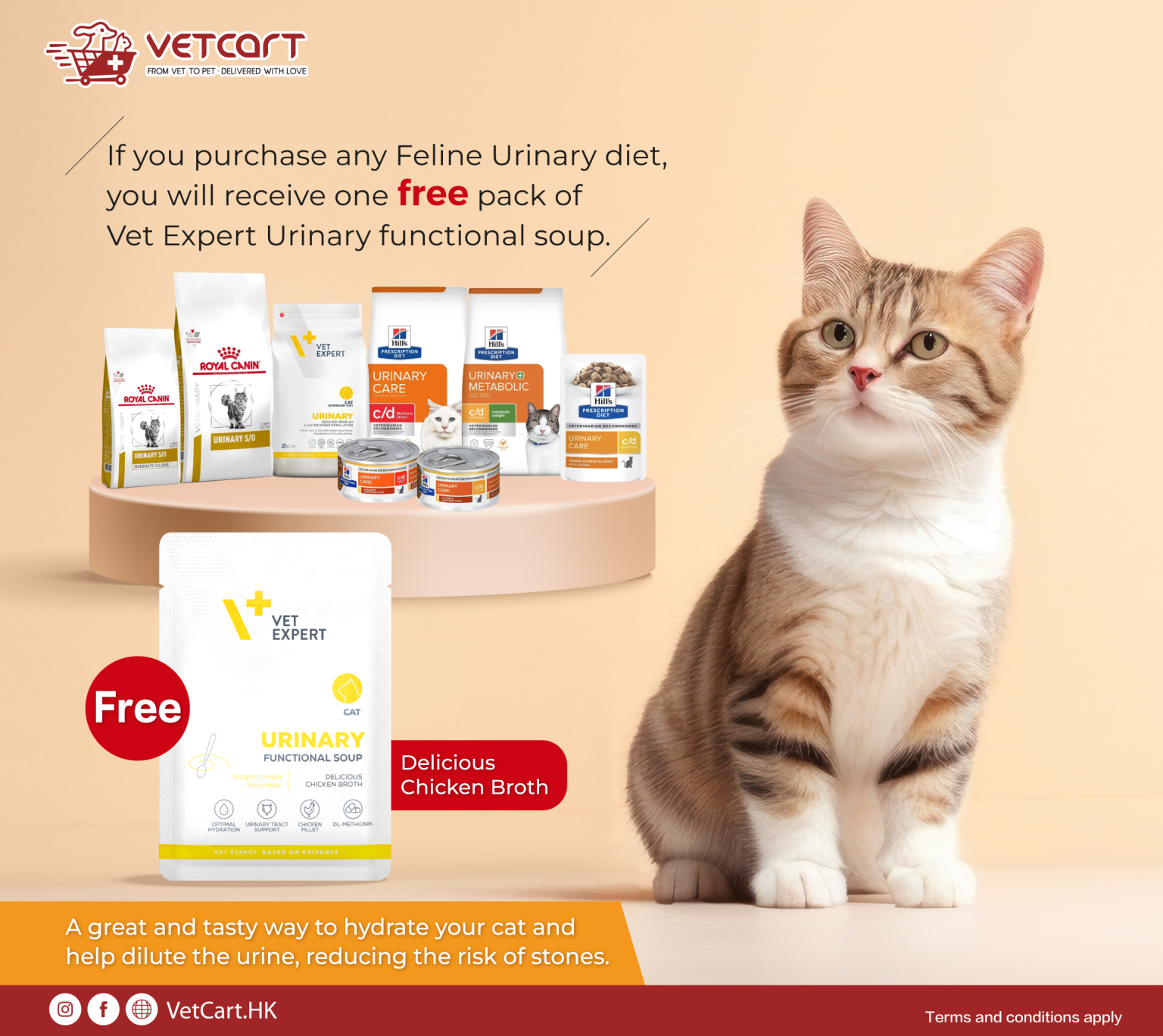 20260417_Vet_Expert_Cat_Soup__Responsive_1536x1368px-01
