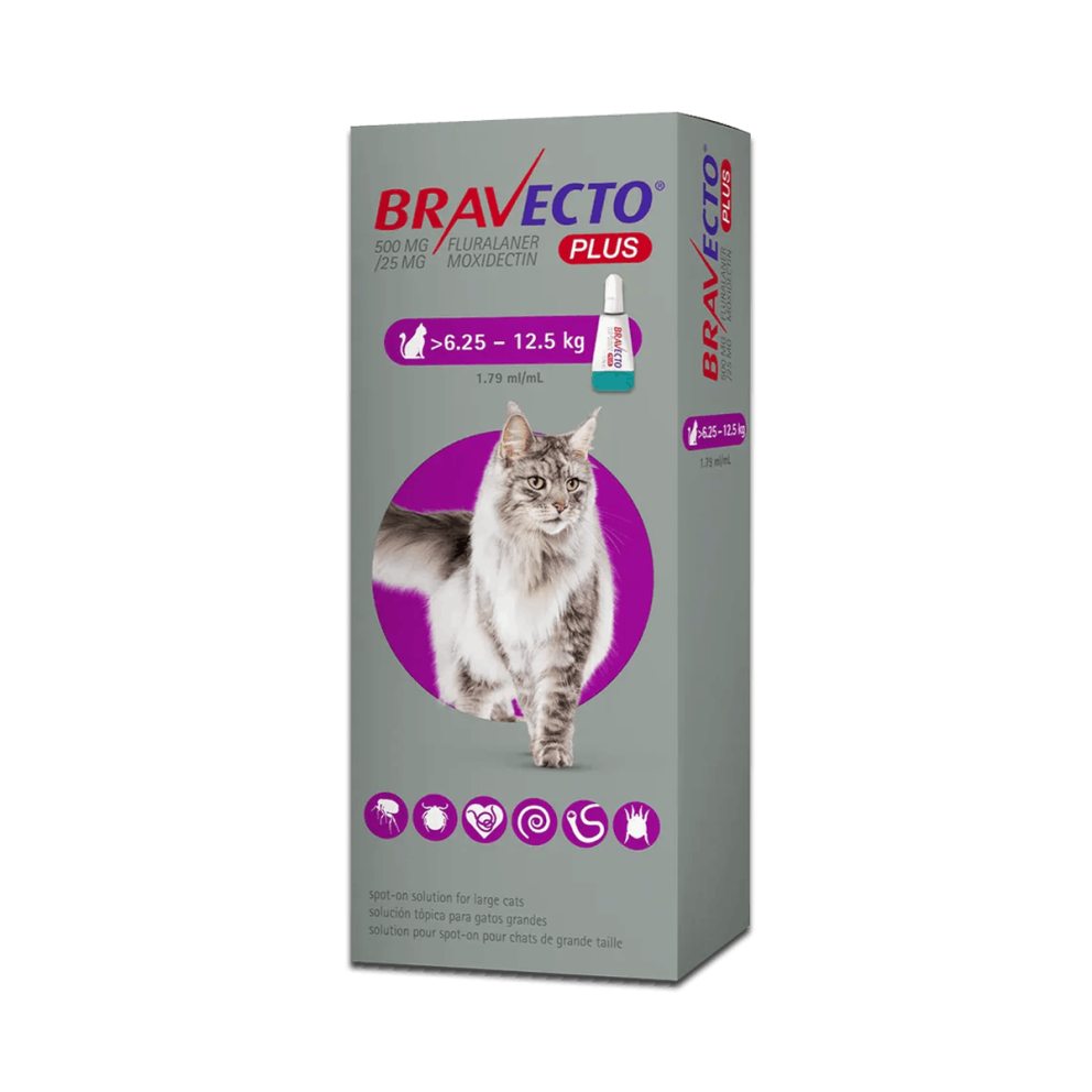 Bravecto_spoton_cats_l