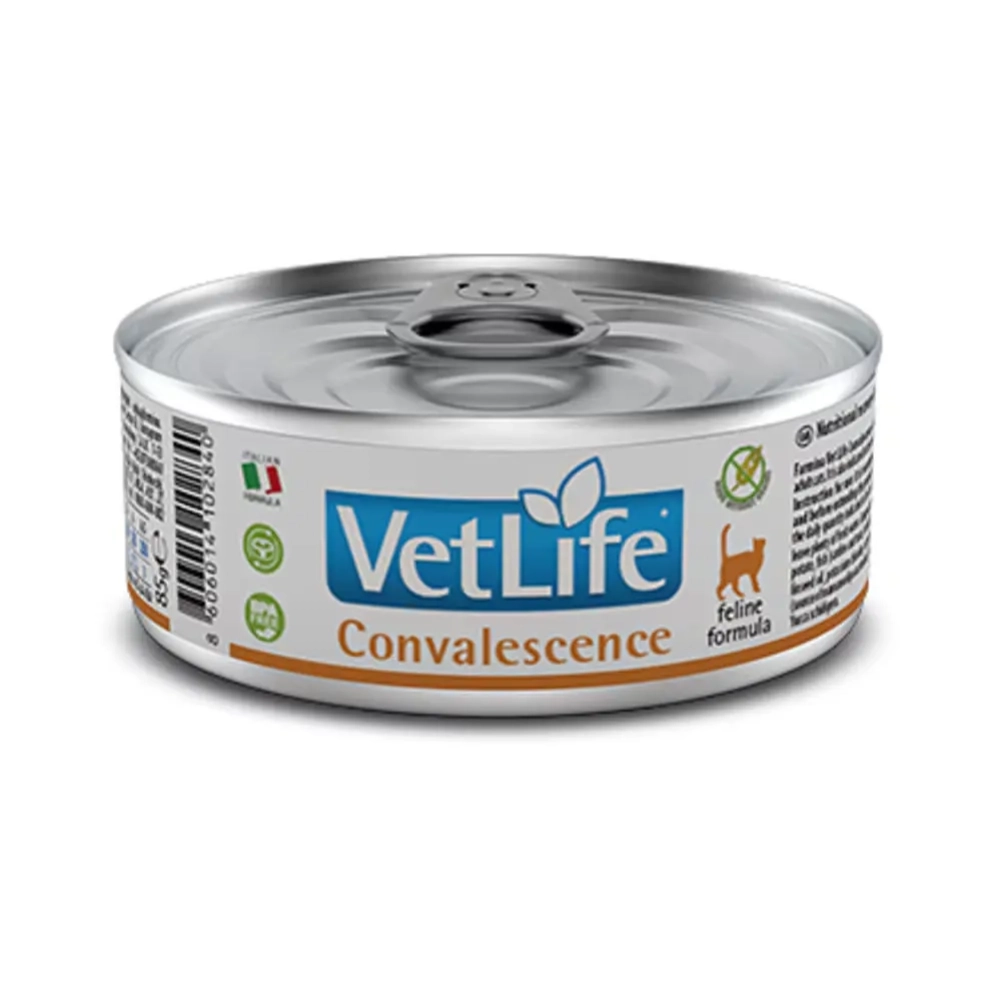 VetLife_cat_canned_Convalescence_85g_1_(1)