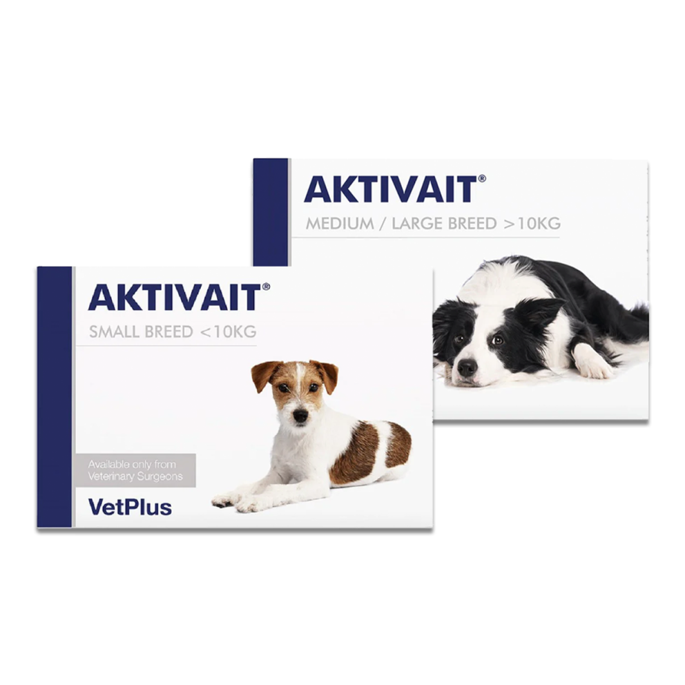 VetPlus_Aktivait_Group