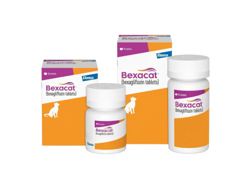 Elanco_Bexacat_Bexagliflozin_tablets