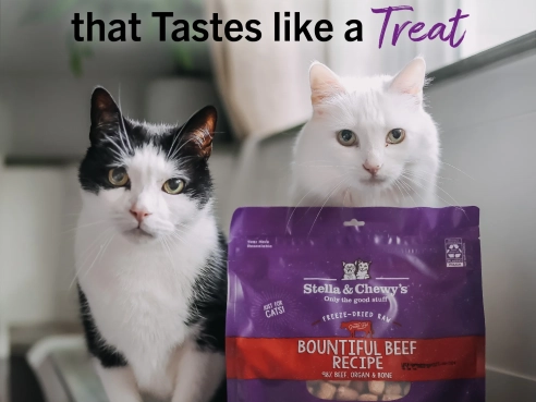 S&amp;C_cat_freeze_dried_beef_3.5oz_2