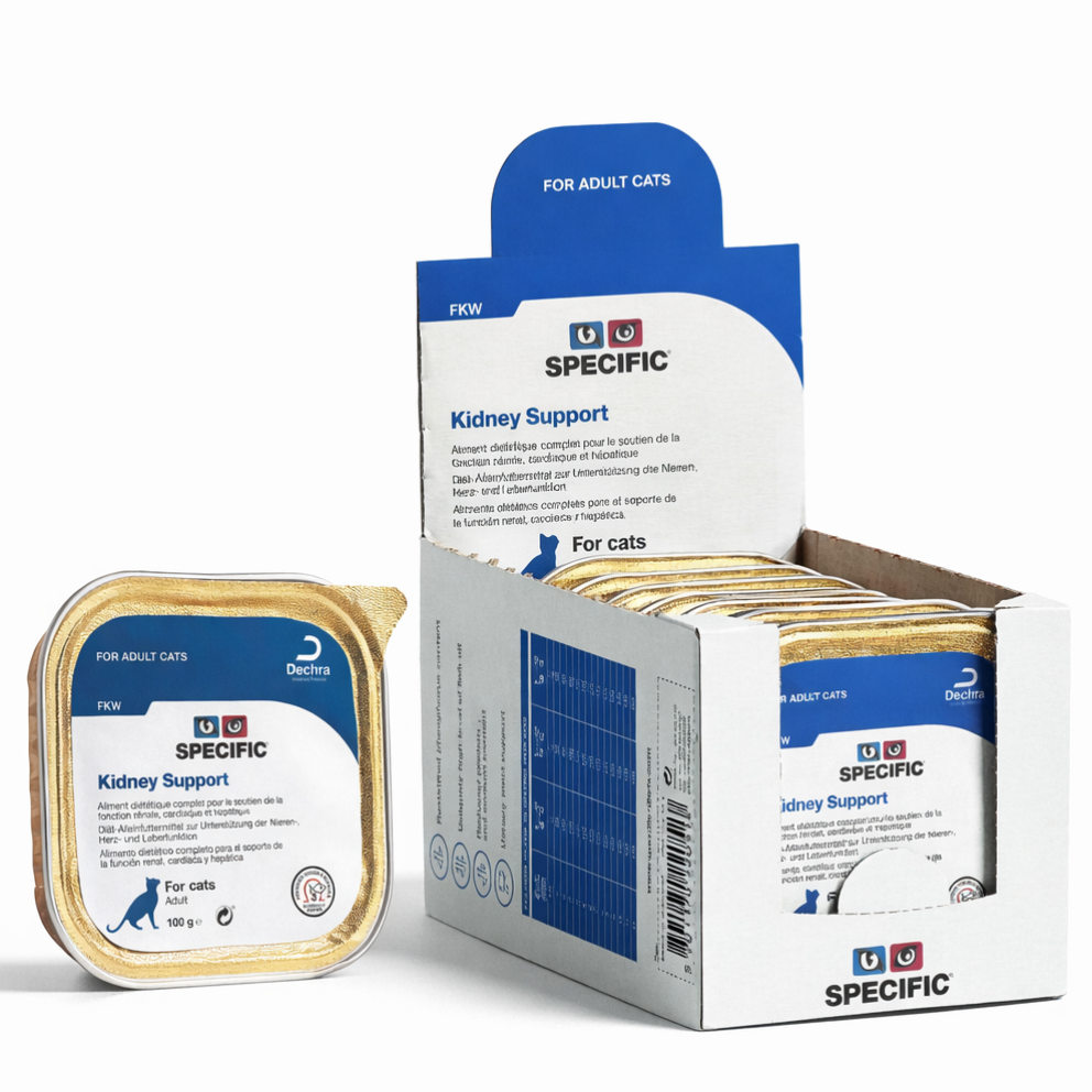 Dechra_cats_wet_FKW_Kidney_Support_2in1_1