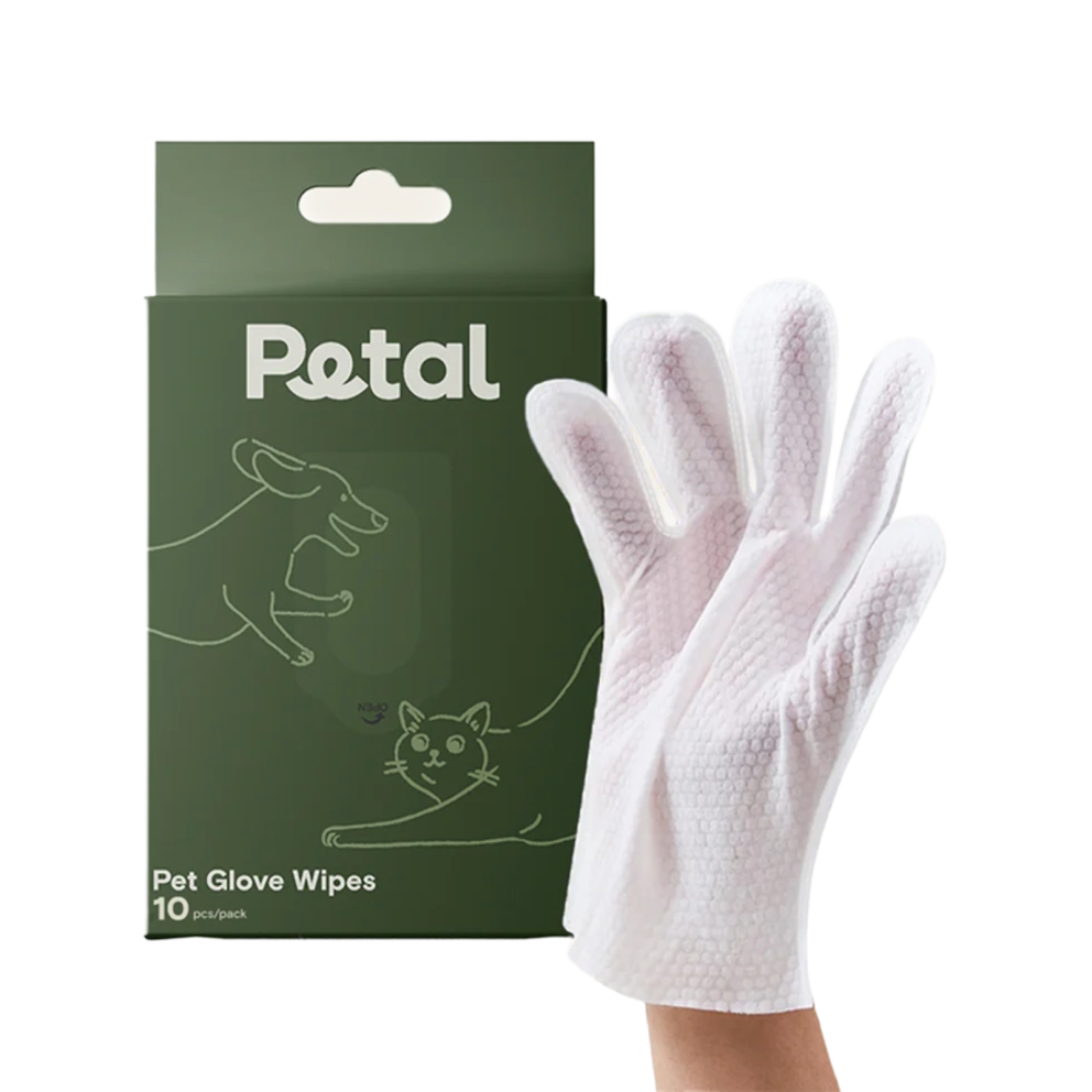 「調整_影像_大小」專_案