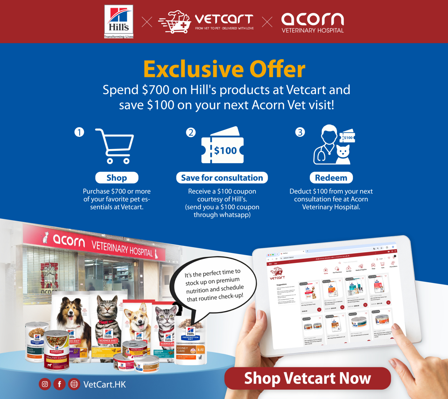 20260706_Acorn_Exclusive_Offer_Banner_Responsive_1536x1368px_3-01