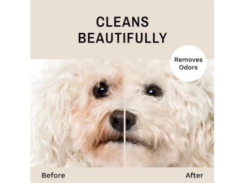 0111072023_3e6fe6b7-b5e7-4b29-a994-b28d6f838319