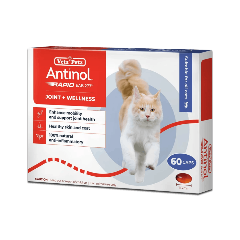 Antinol_Rapid_Cats