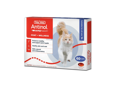 Antinol_Rapid_Cats