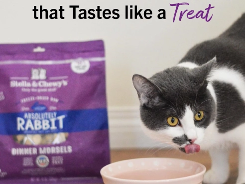 S&amp;C_cat_freeze-dried_rabbit_3.5oz_2