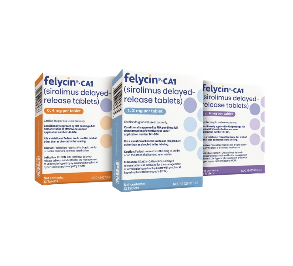 Felycin-ca1_group