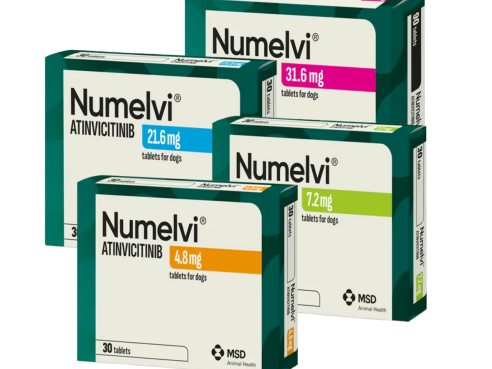 Numelvi_group
