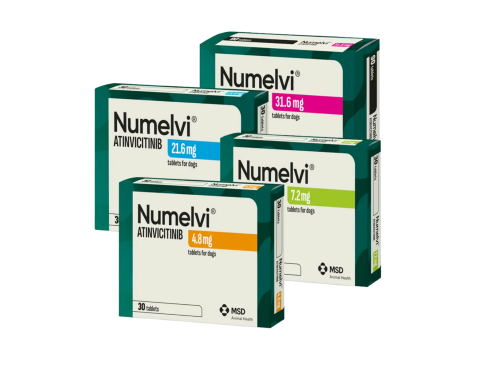 Numelvi_group