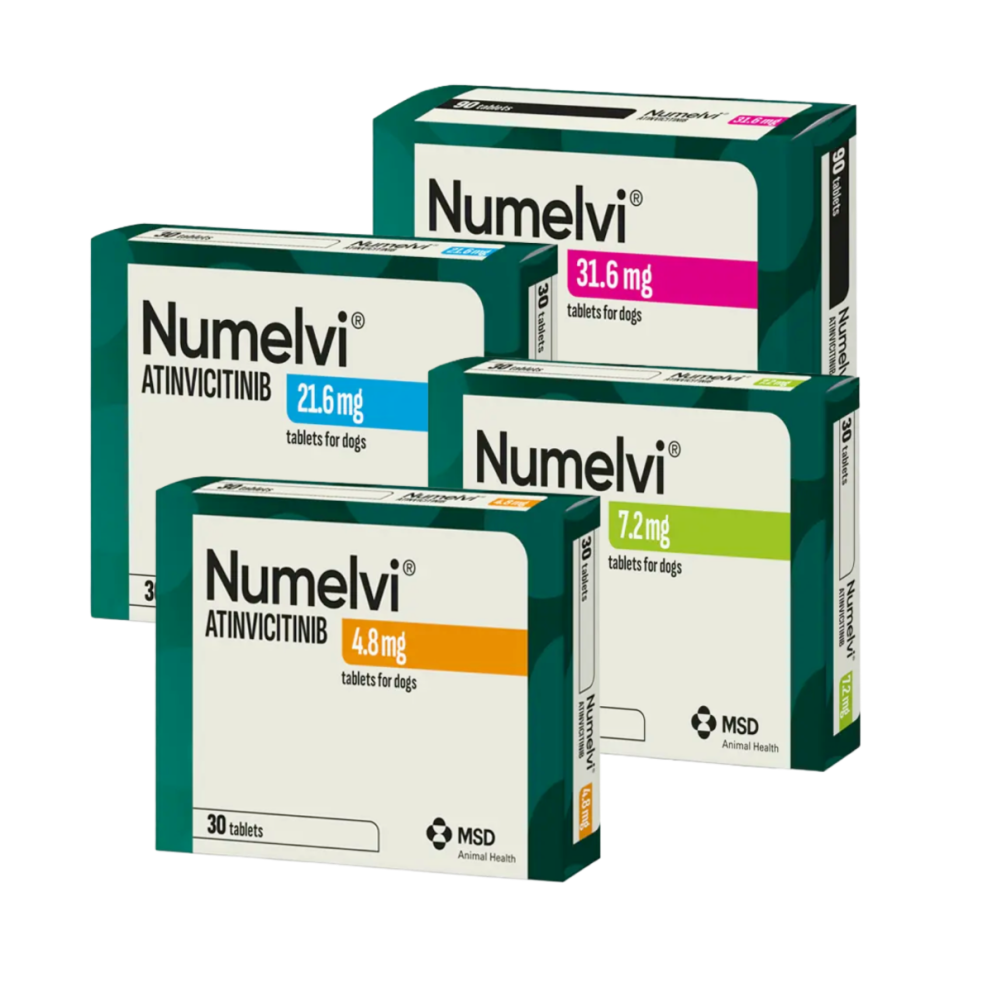 Numelvi_group