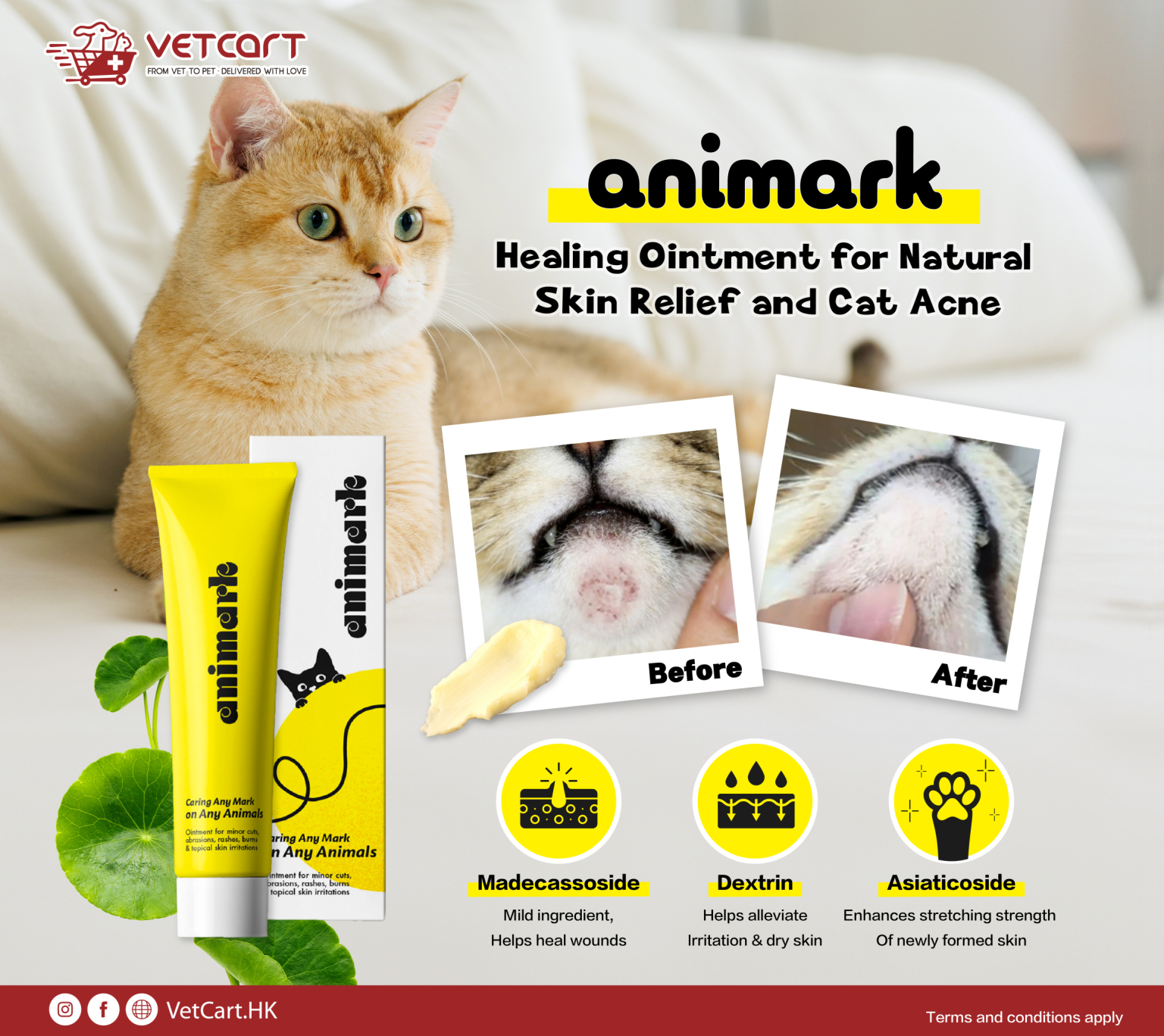 20260407_Cat_Animark_Banner_Responsive_1536x1368px-01