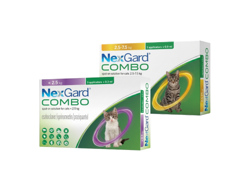 NexGard_COMBO_Group
