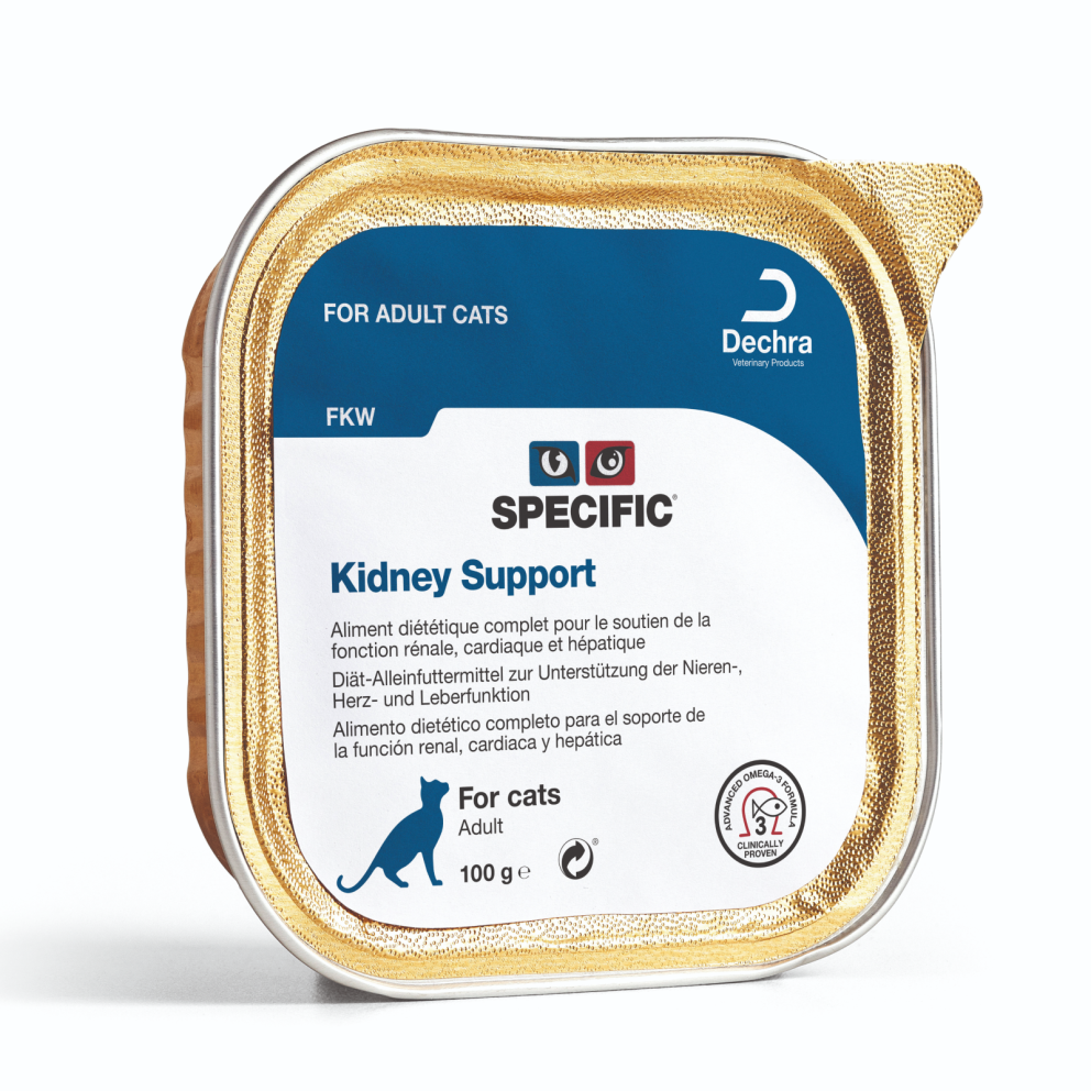 Dechra_cats_wet_FKW_Kidney_Support_100g_2