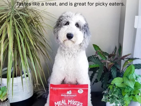 S&amp;C_dog_Dry_Freeze_Dried_MealMixers_Lamb_3.5oz_1.2