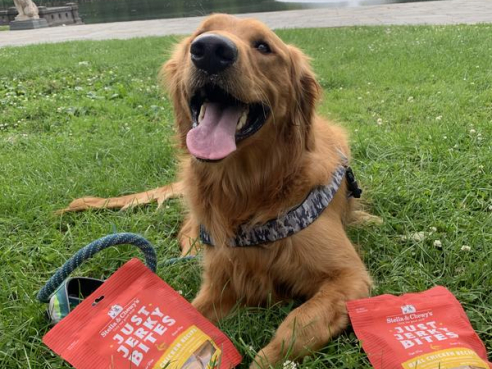 S&amp;C_dog_JustJerkyBites_Chicken_6oz_3