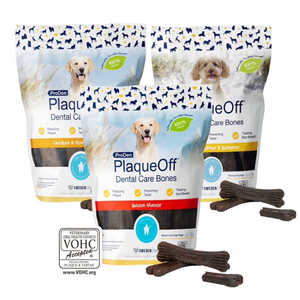 PlaqueOff_Dental_Care_Bone_Group