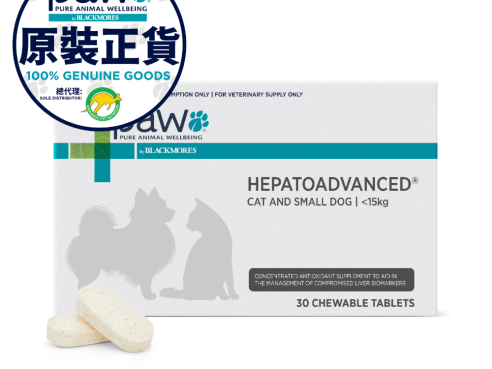 Paw_Hepatoadvanced_S_Front_w