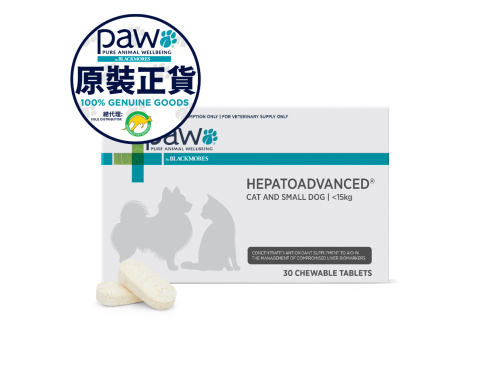 Paw_Hepatoadvanced_S_Front_w