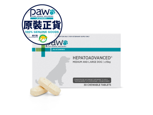 Paw_Hepatoadvanced_L_Front_w