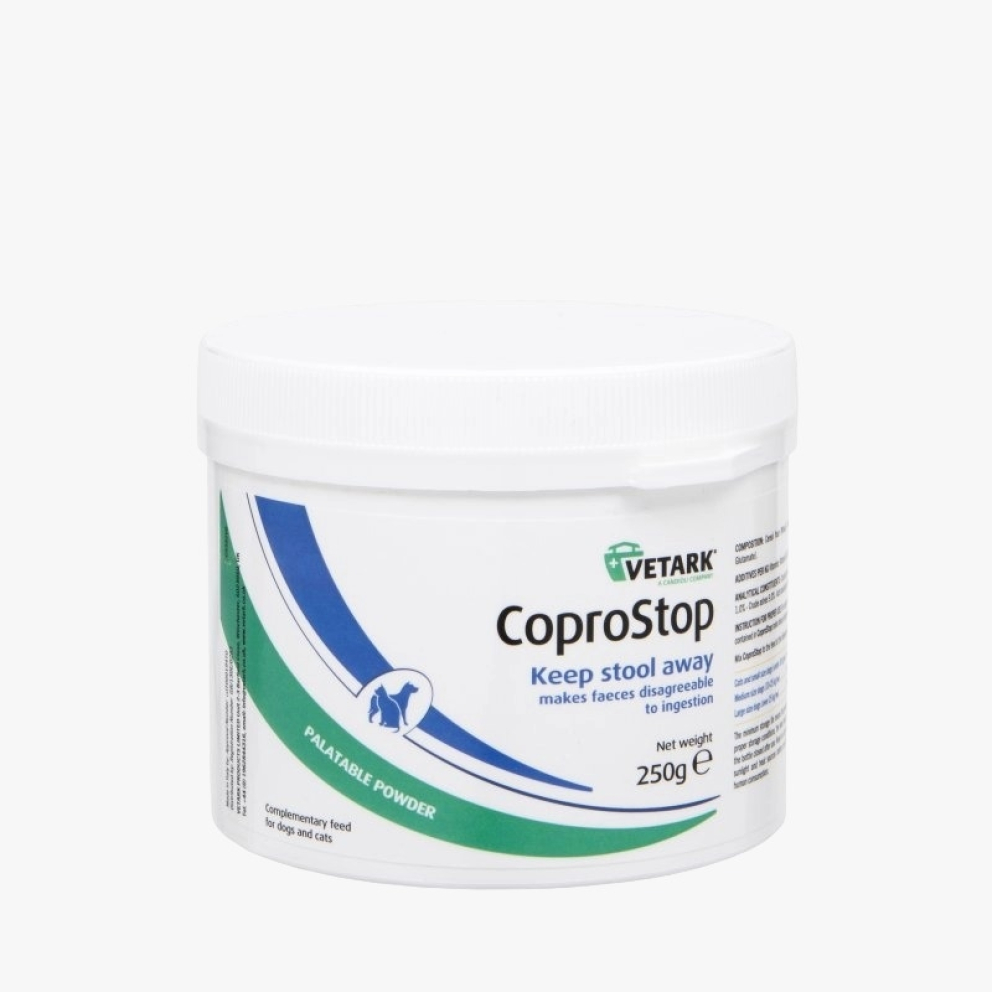 WhatsApp_Image_2026-03-03_at_2.57.28_PM