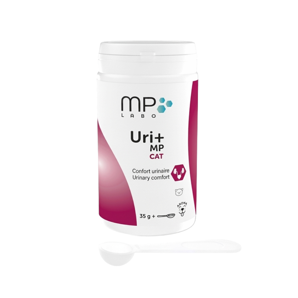Uri+_MP