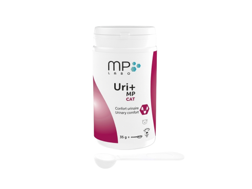 Uri+_MP