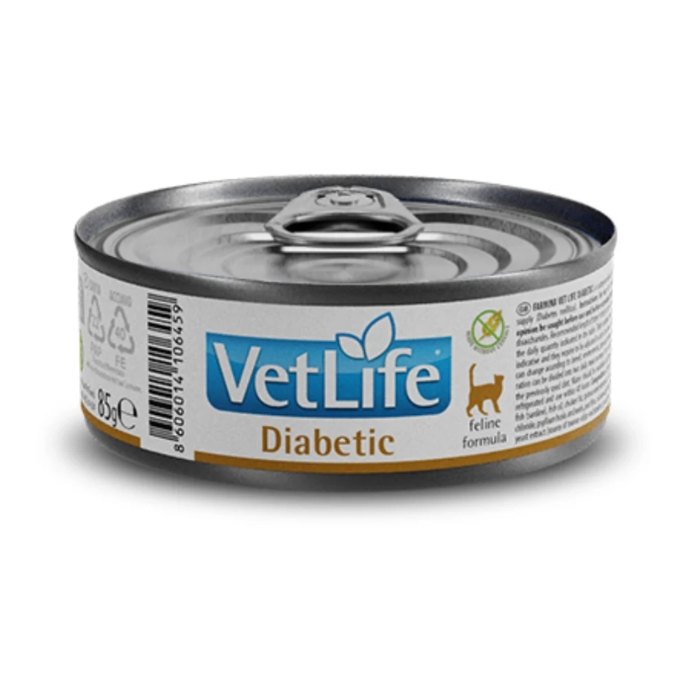 VetLife_cat_canned_Diabetic_85g_1
