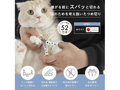 WhatsApp_Image_2026-02-25_at_11.21.44_PM_(1)