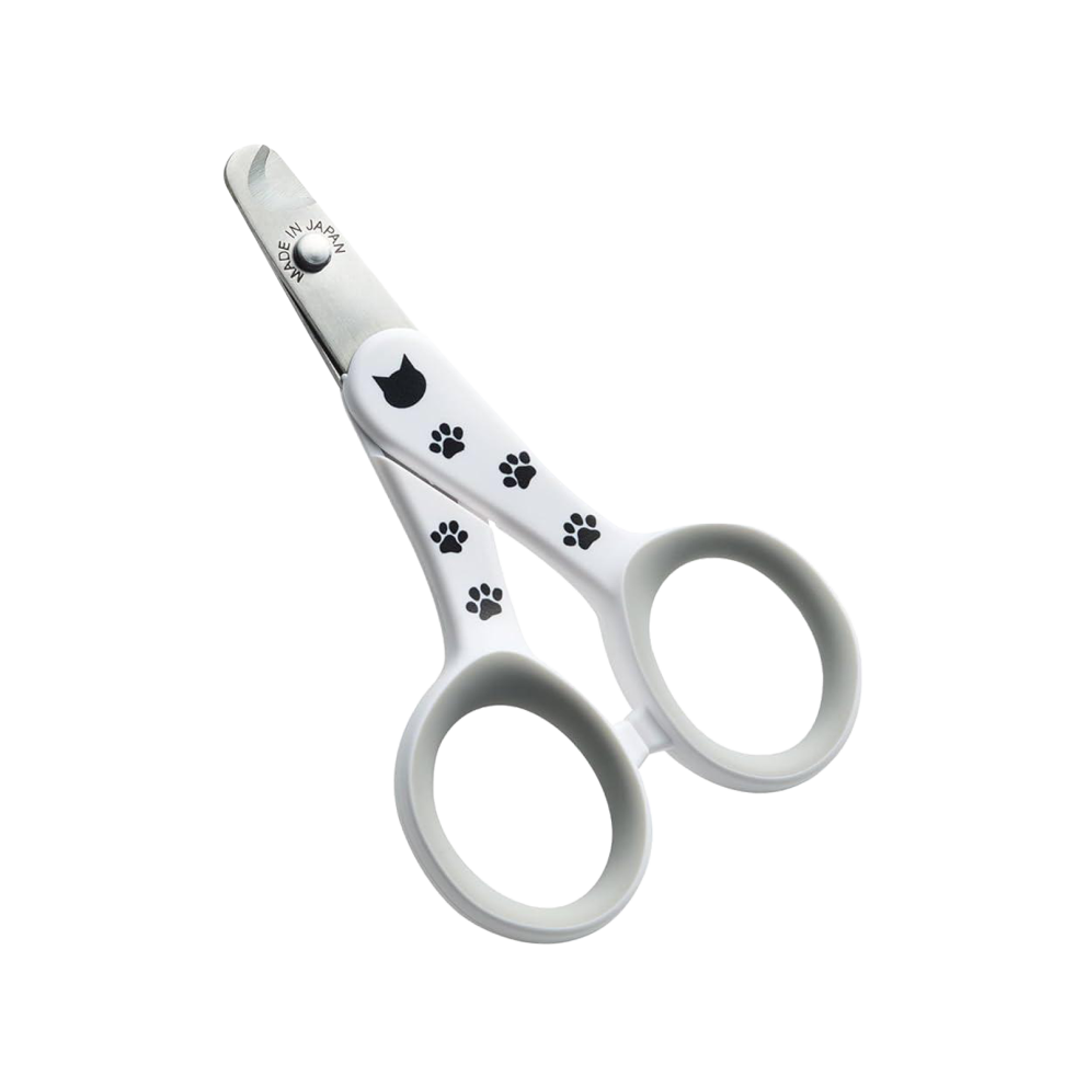 WhatsApp_Image_2026-02-25_at_23.20.34_(2)