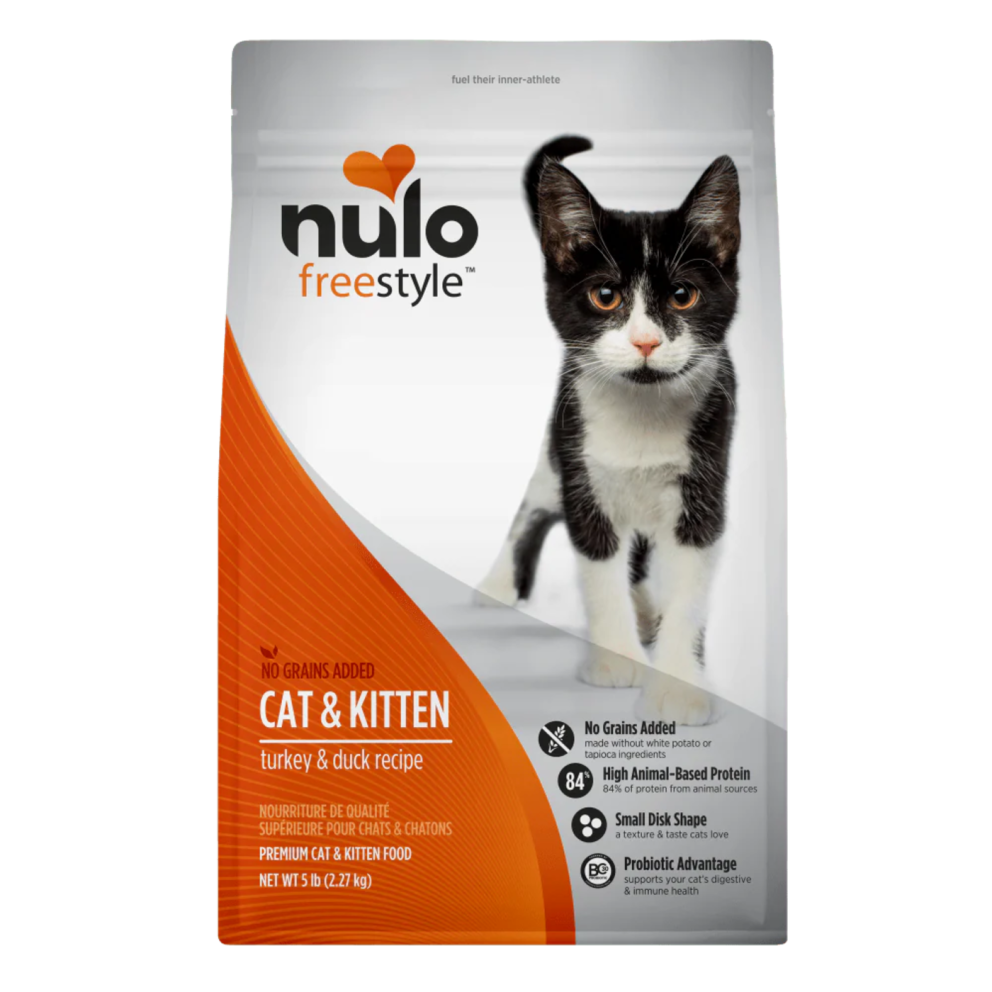 61KT05_kitten_adult_turkey_duck_1