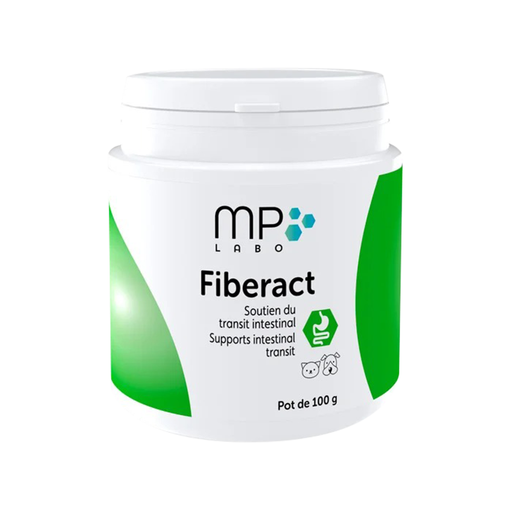 WhatsApp_Image_2026-02-14_at_00.42.14