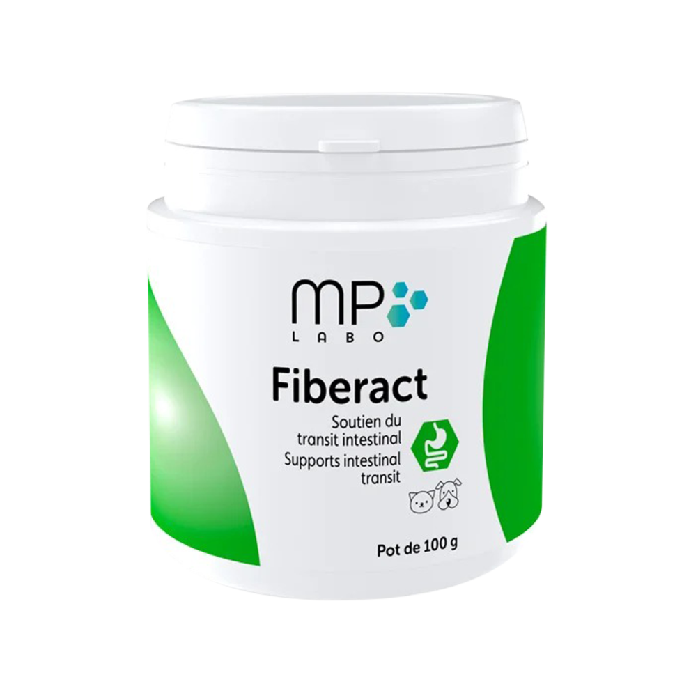 WhatsApp_Image_2026-02-14_at_00.42.14