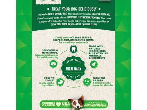 Dental_Bone_Teenie_96_2