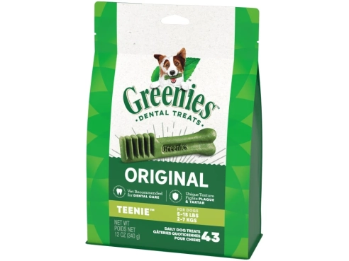 Dental_Bone_Teenie_43