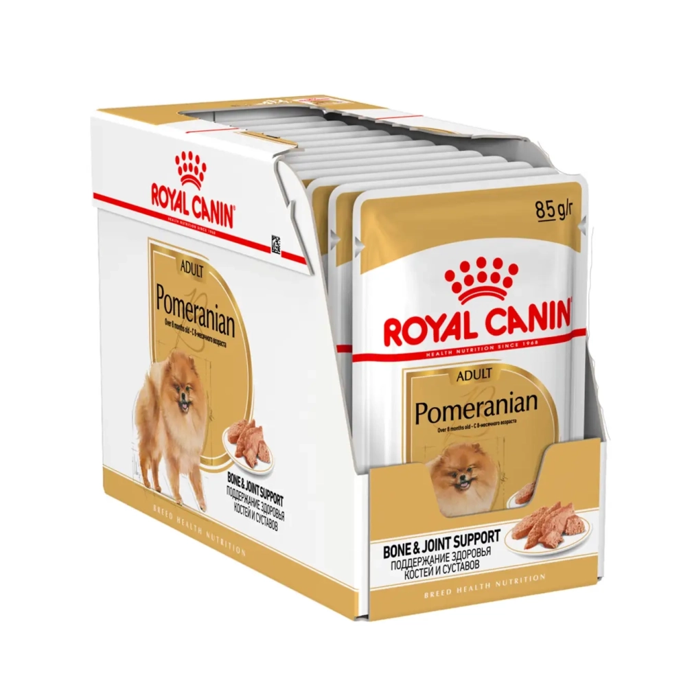 Pomeranian_Adult_Loafx12