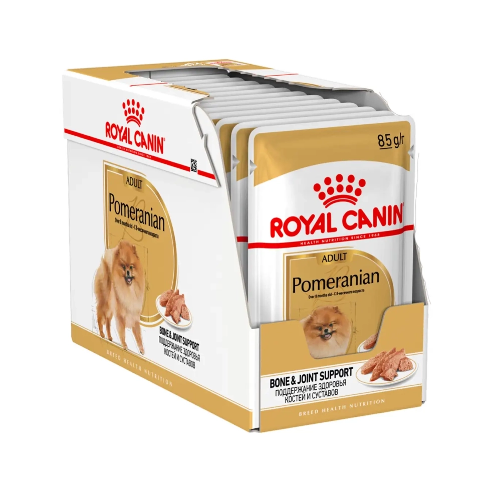 Pomeranian_Adult_Loafx12