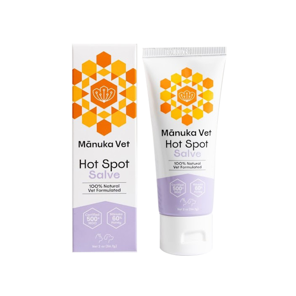 WhatsApp_Image_2026-02-12_at_19.54.31_(2)