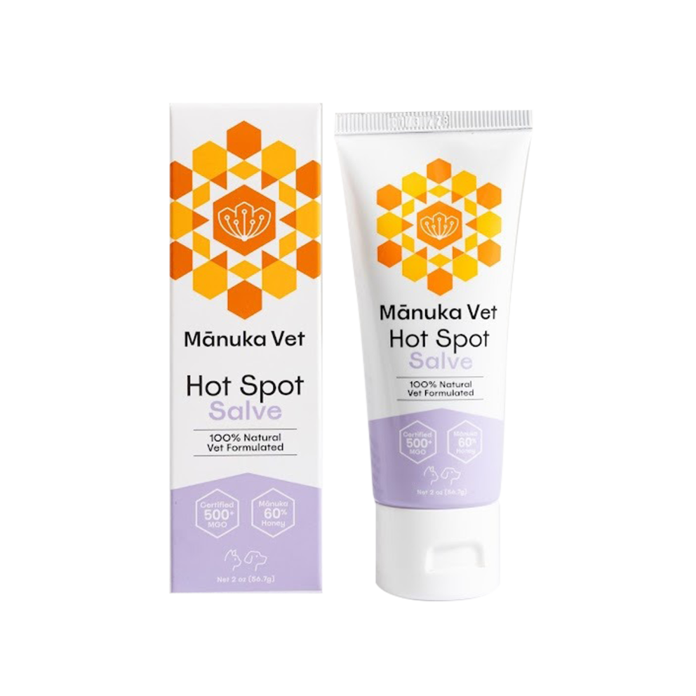 WhatsApp_Image_2026-02-12_at_19.54.31_(2)