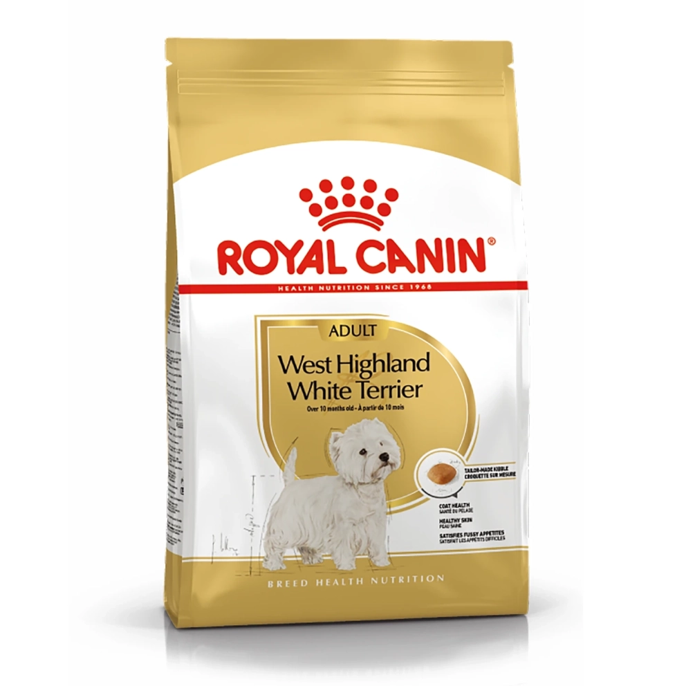 West_Highland_White_Terrier_Adult