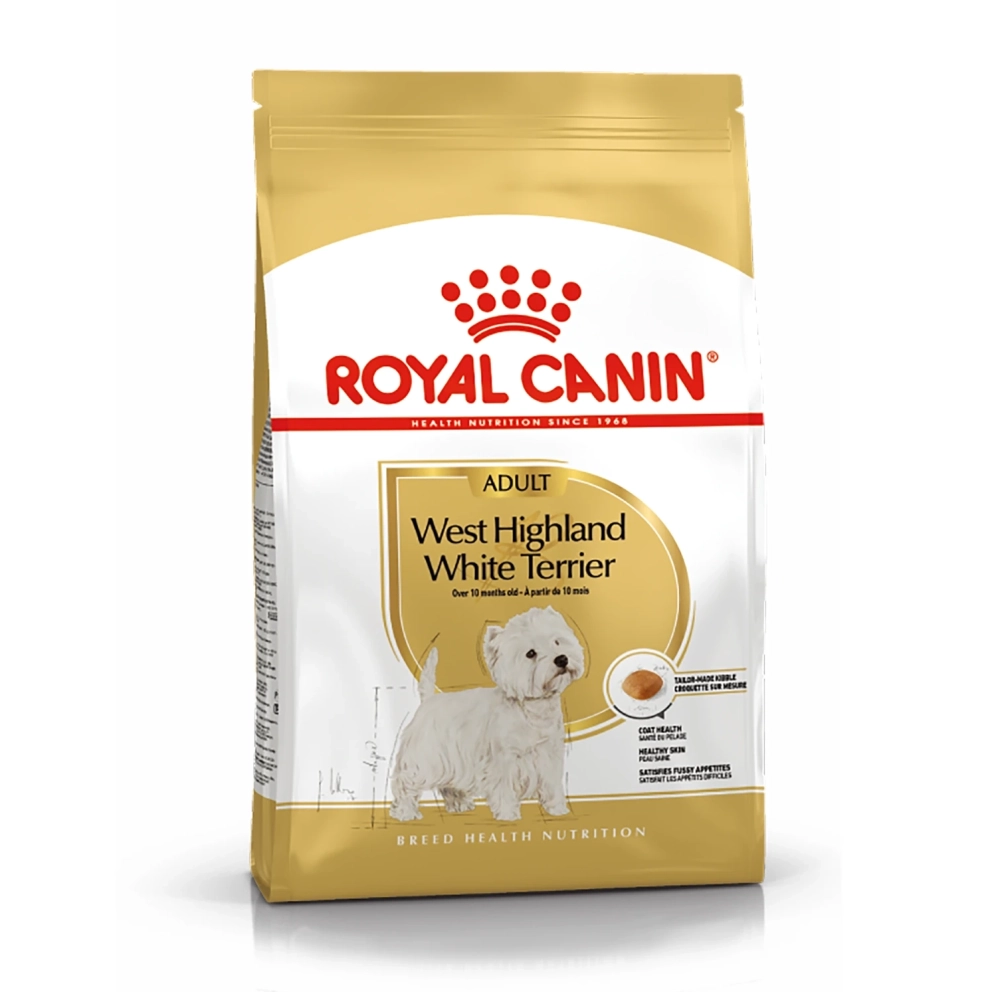 West_Highland_White_Terrier_Adult