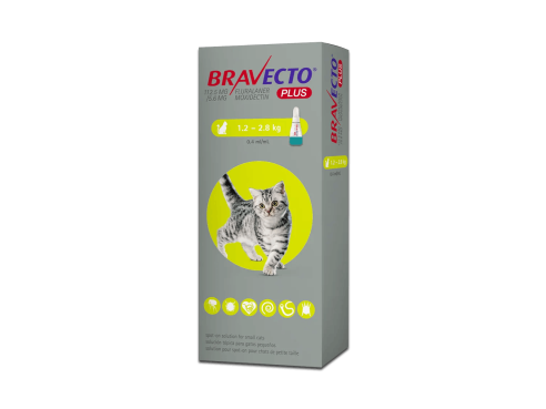 Bravecto_spoton_cats_s