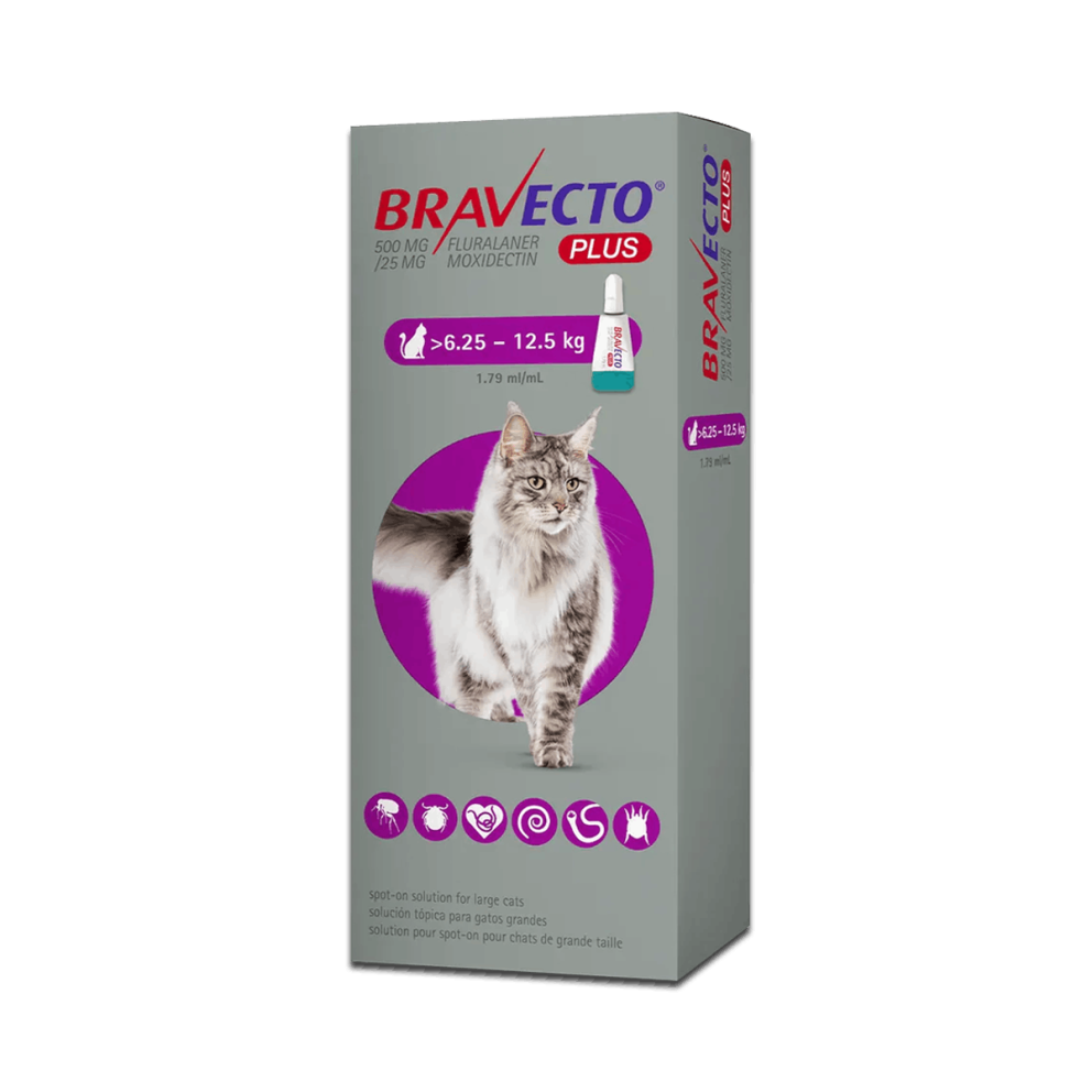 Bravecto_spoton_cats_l