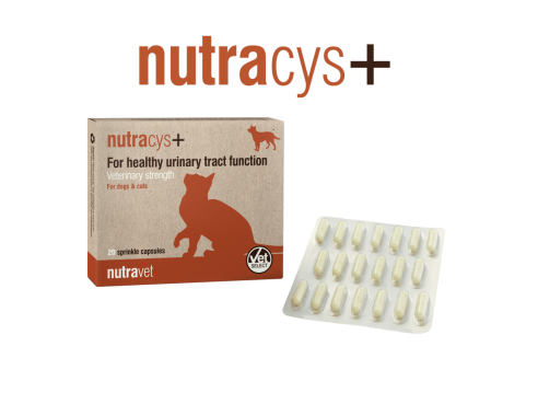 nutracys