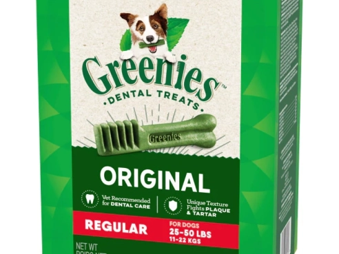 Dental_Bone_Regular_27